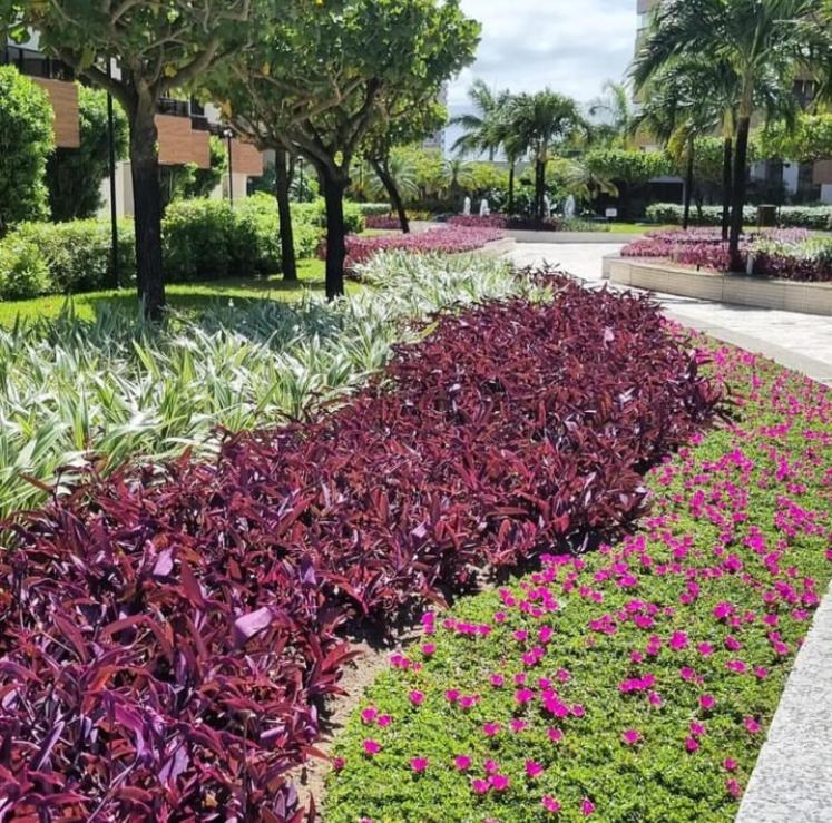 Paraiso Do Atlantico Club Apartment